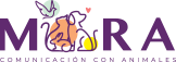 Mora Logo